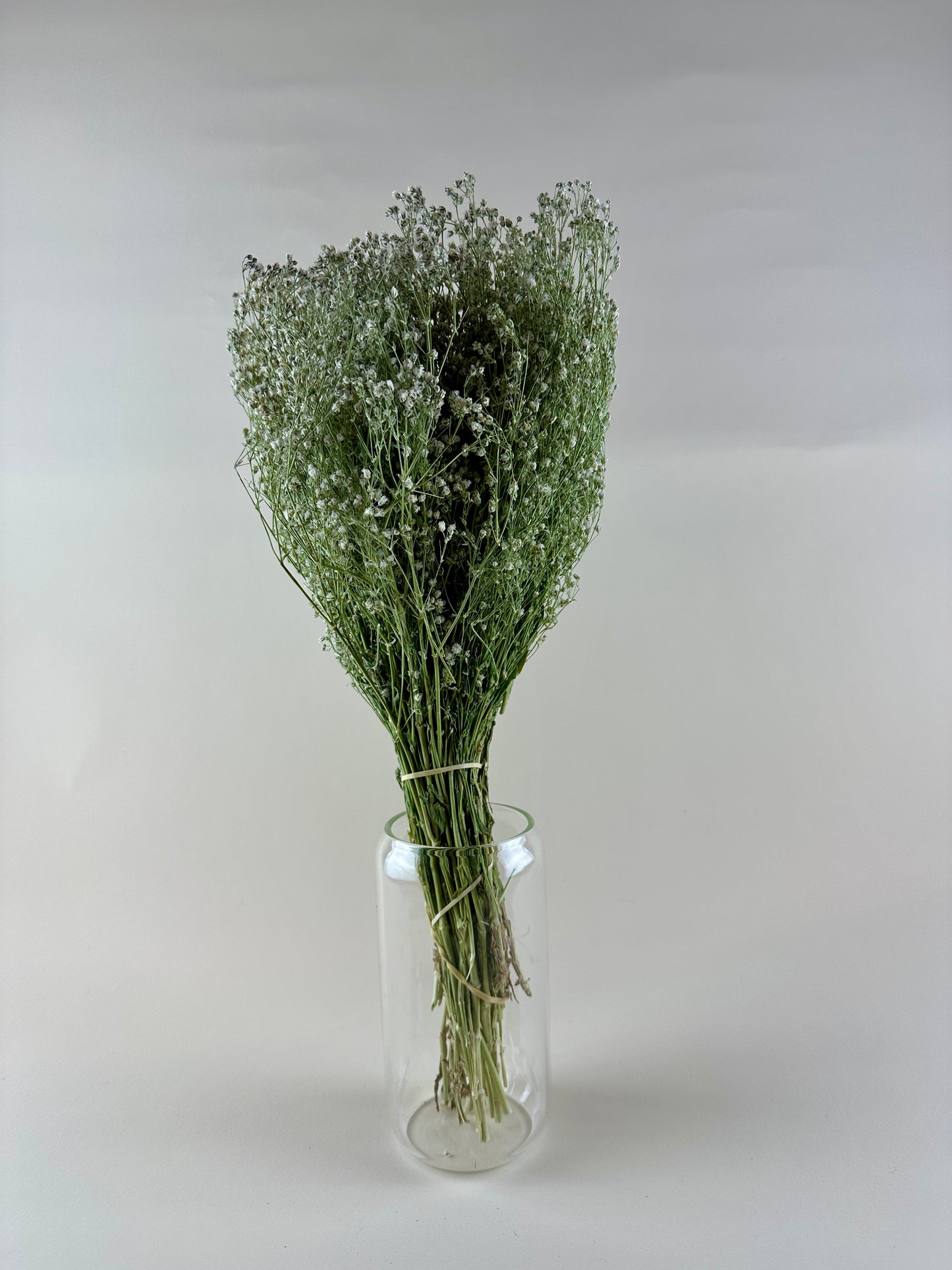 Dried Baby’s Breath (Gypsophillia)