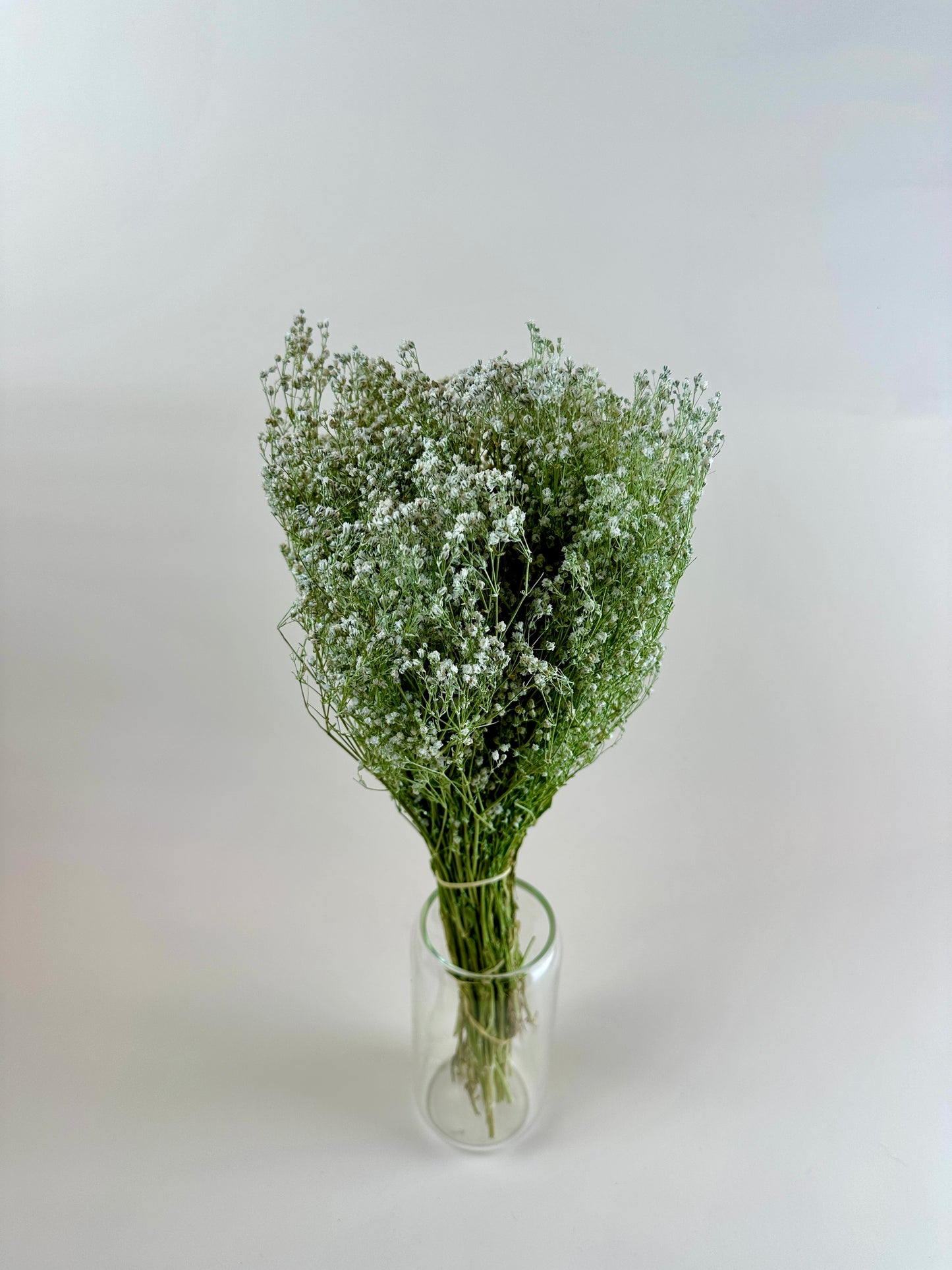 Dried Baby’s Breath (Gypsophillia)