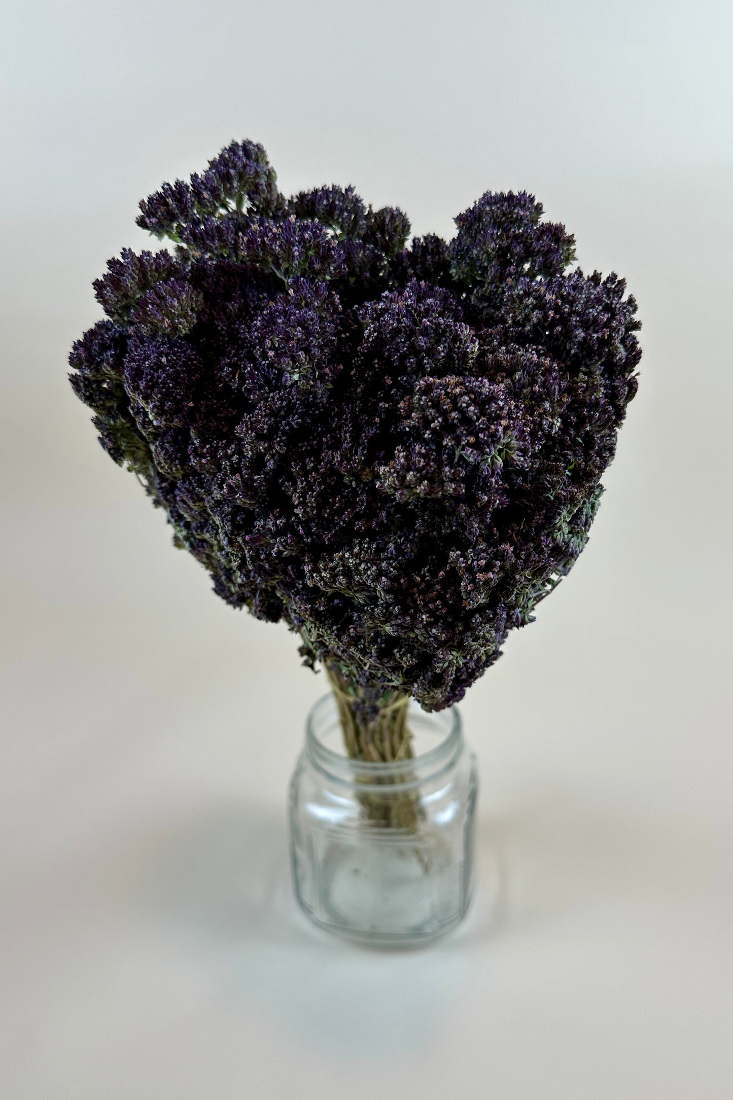 Dried Oregano (Purple Blossom)