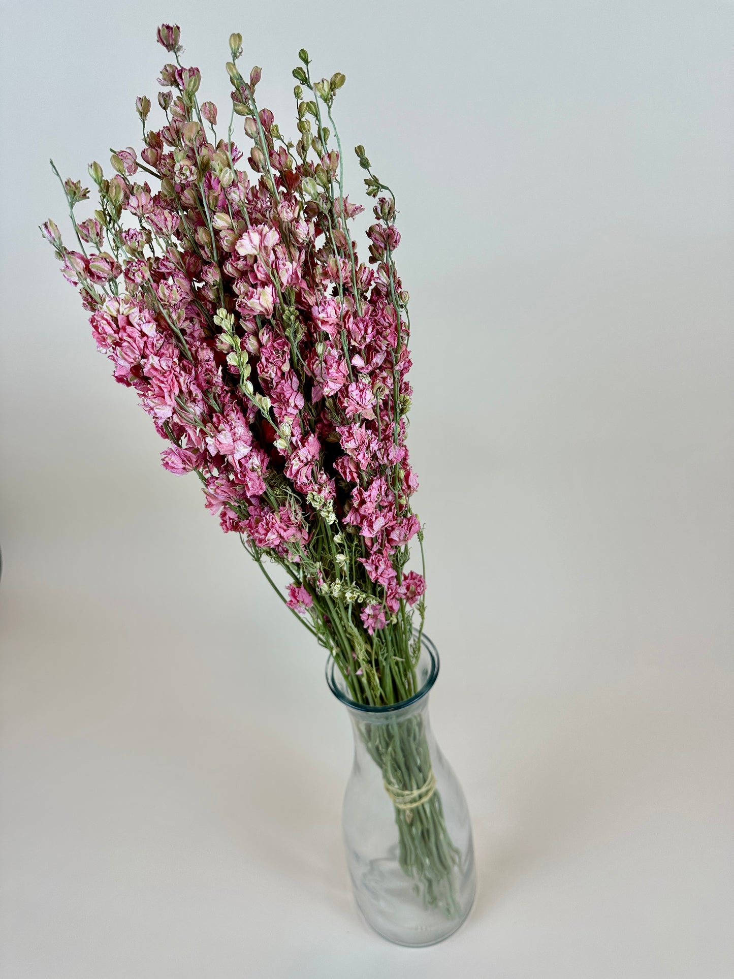 Dried Larkspur (Carmine Pink)