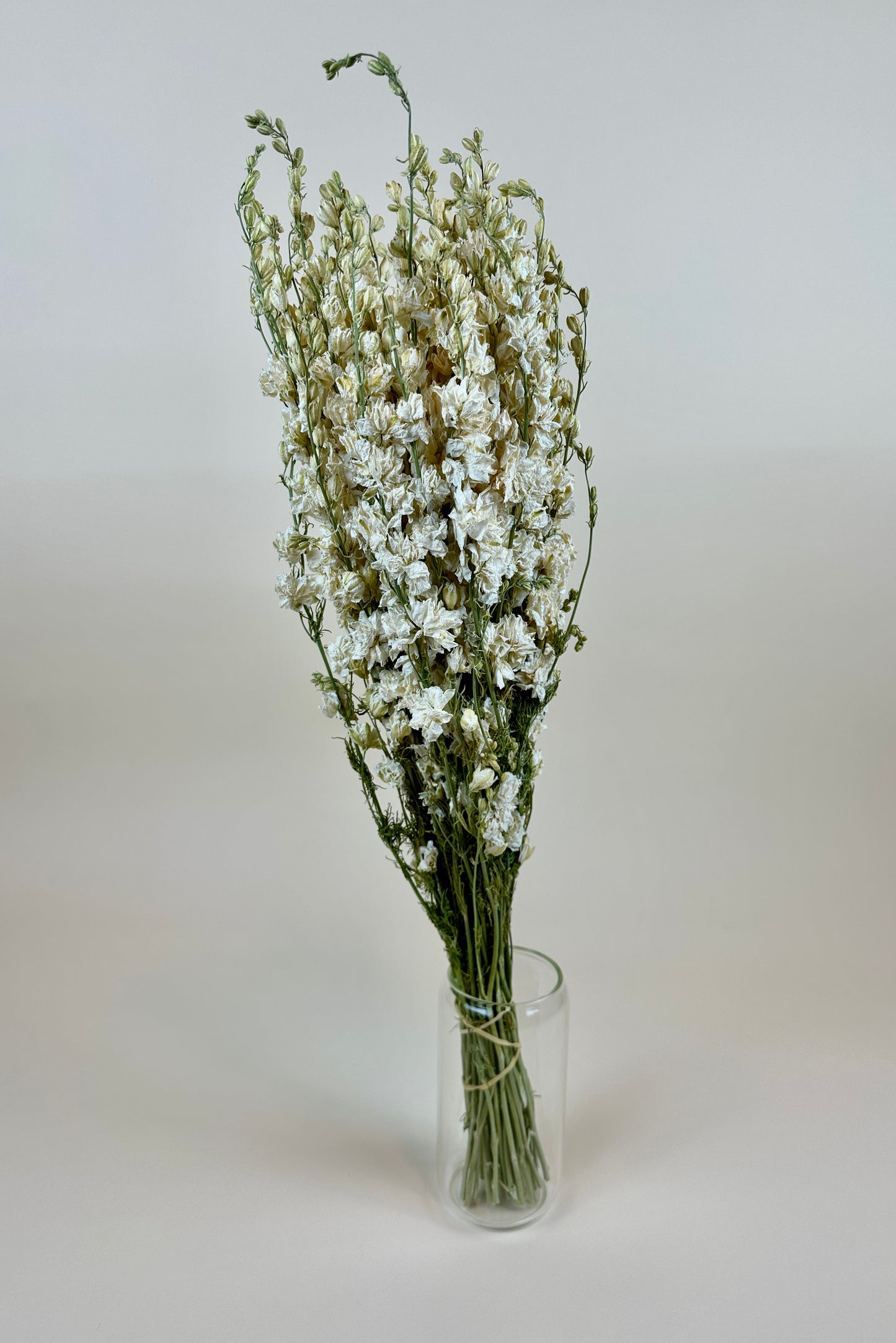 Dried Larkspur (White)