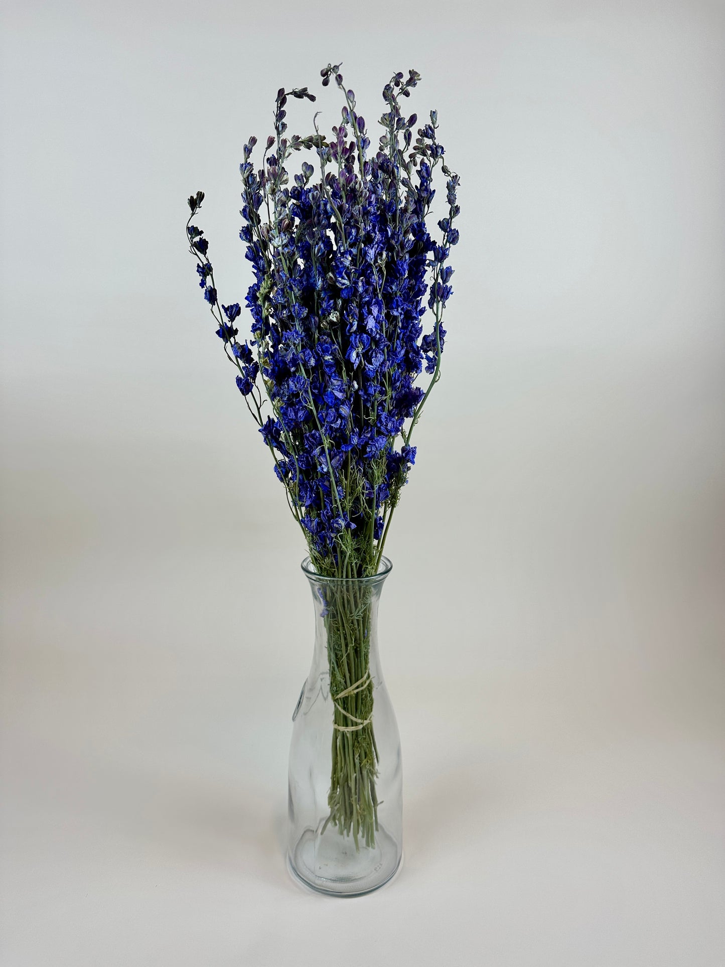 Dried Larkspur (Lilac)