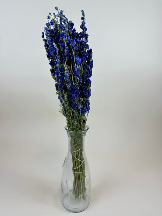 Dried Larkspur (Dark Blue)