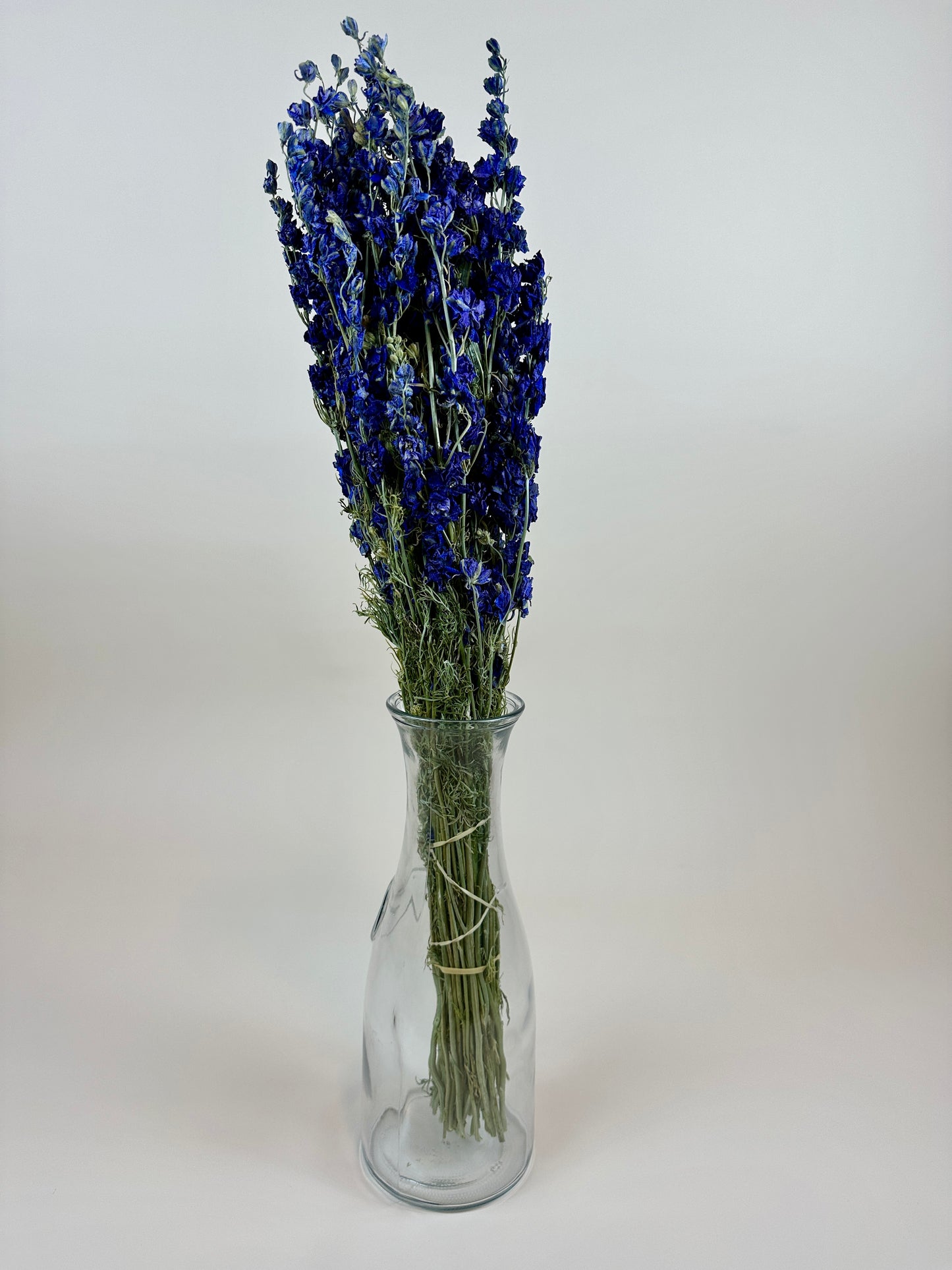 Dried Larkspur (Dark Blue)