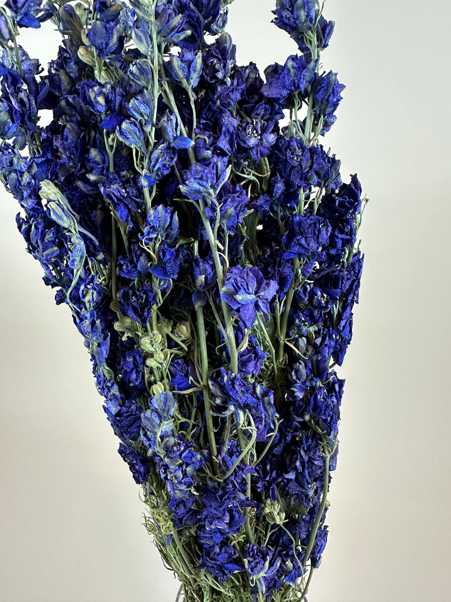 Dried Larkspur (Dark Blue)