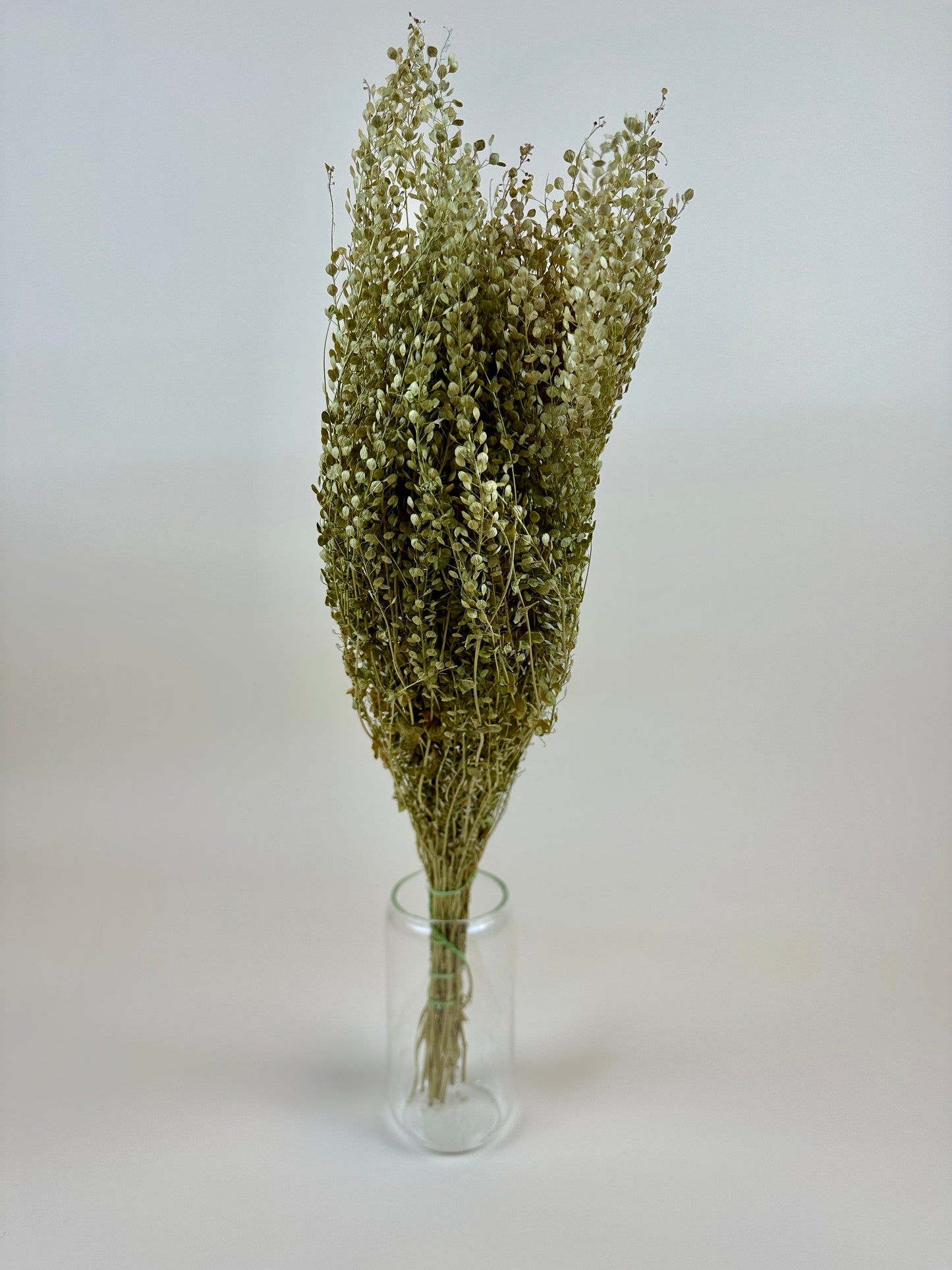 Dried Lepidium (Pepper Grass)