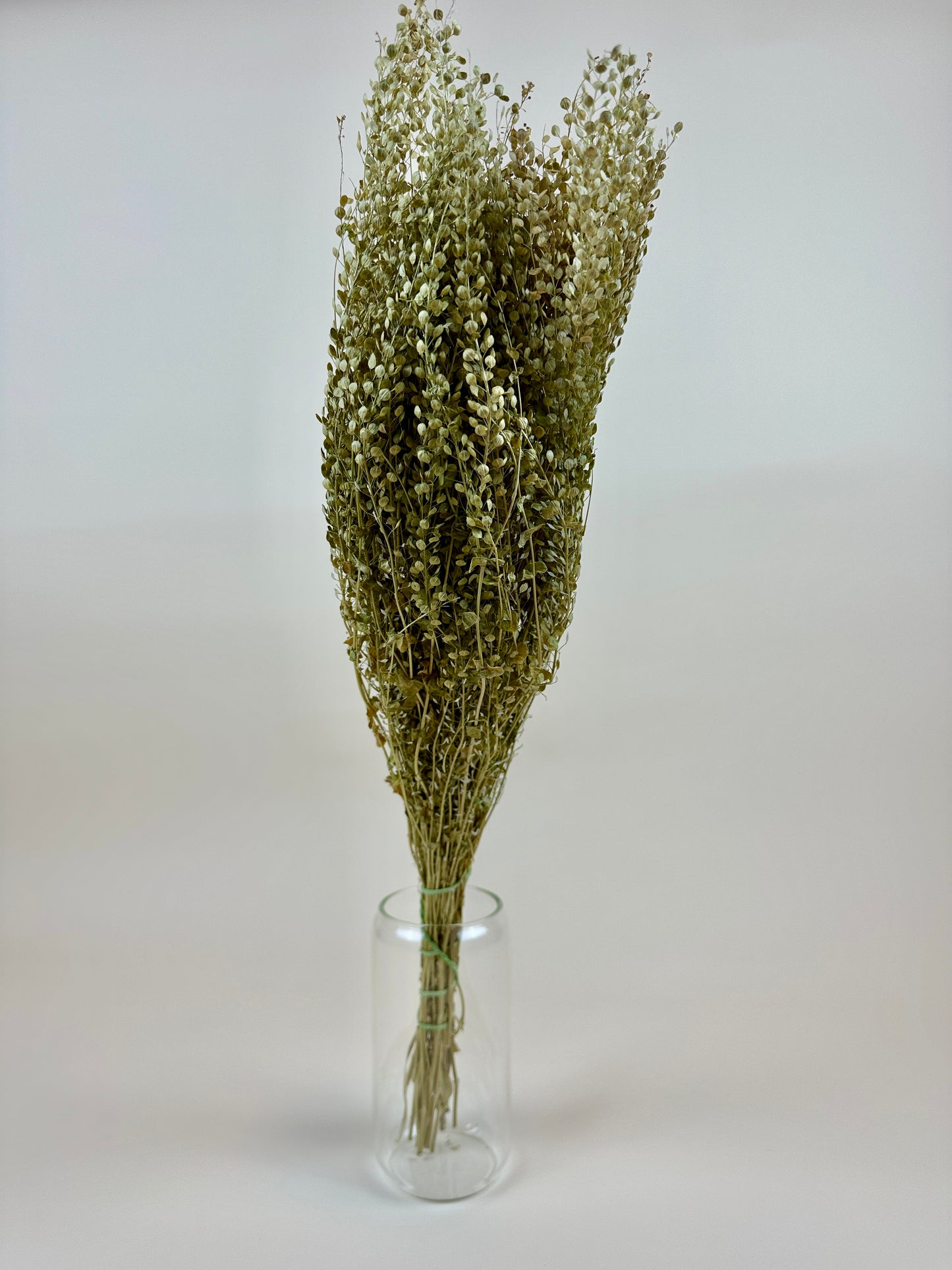 Dried Lepidium (Pepper Grass)