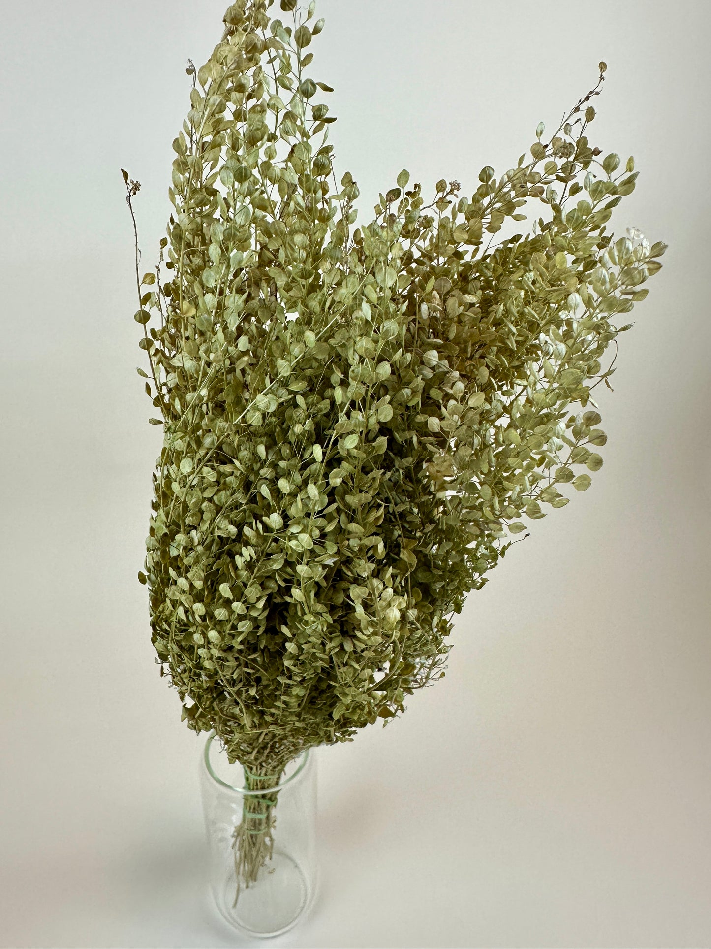 Dried Lepidium (Pepper Grass)