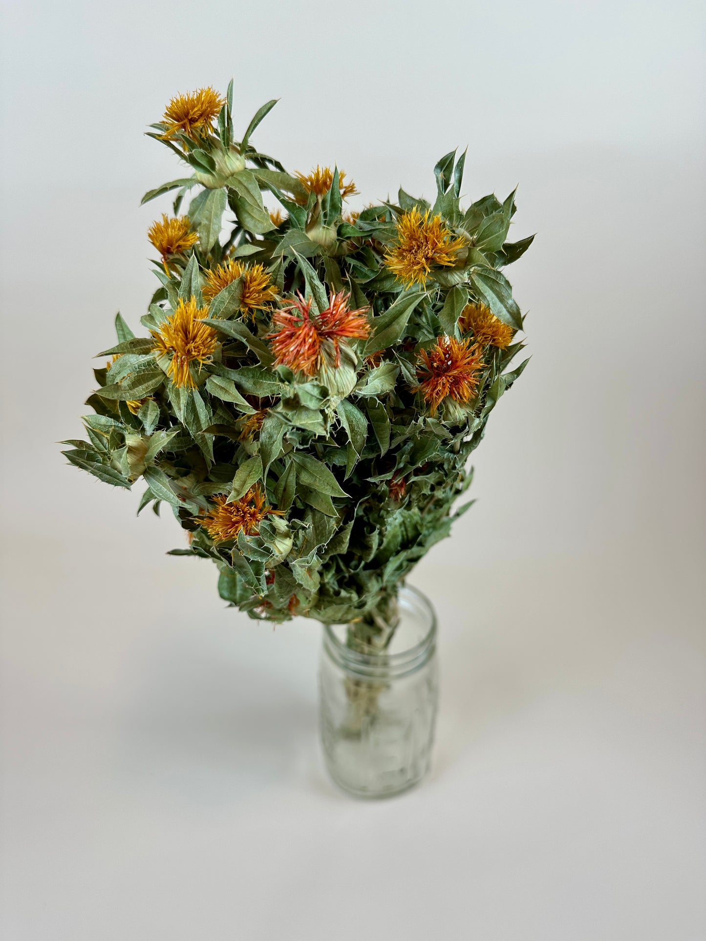 Dried Safflower - Autumn