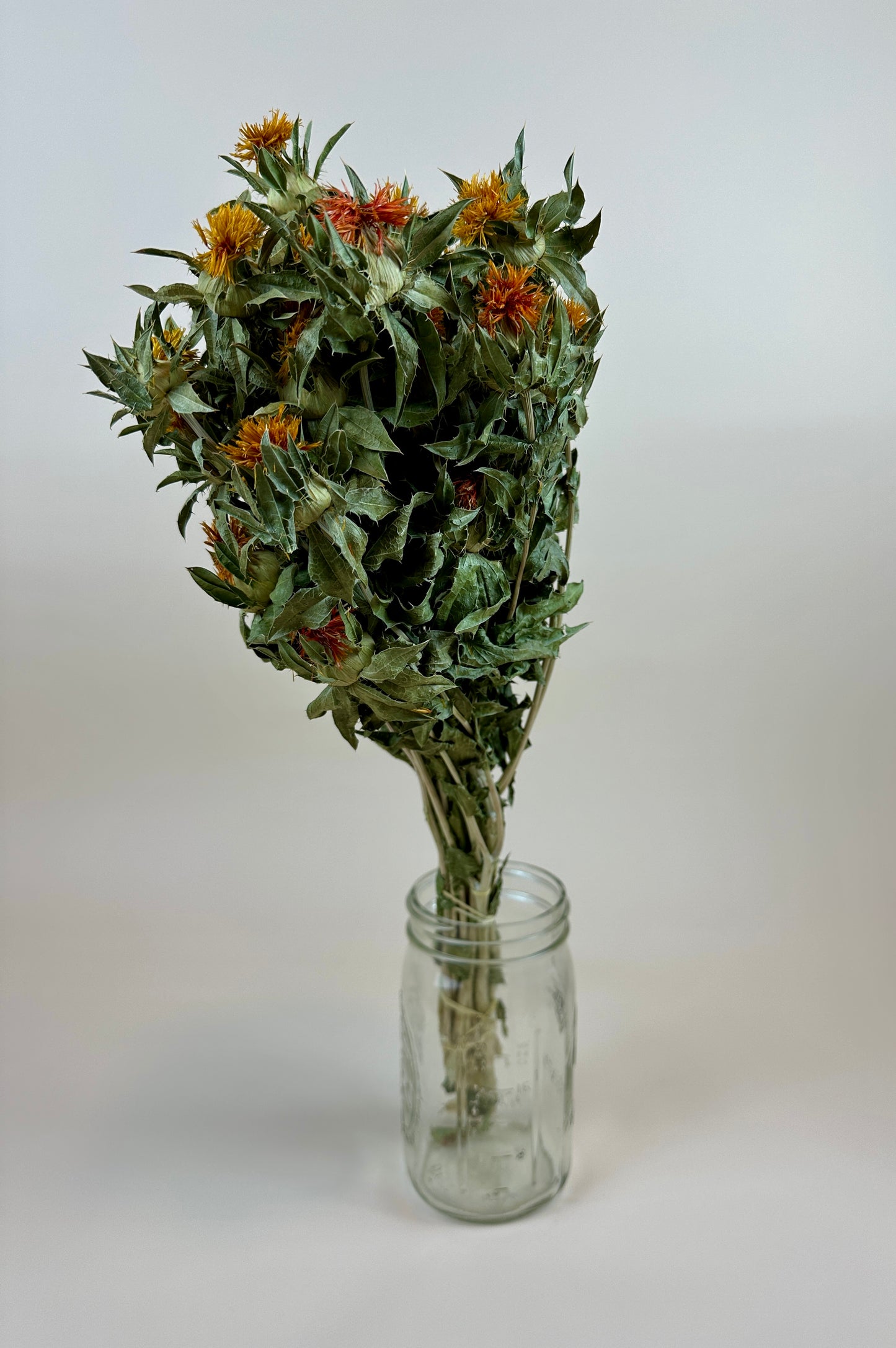 Dried Safflower - Autumn