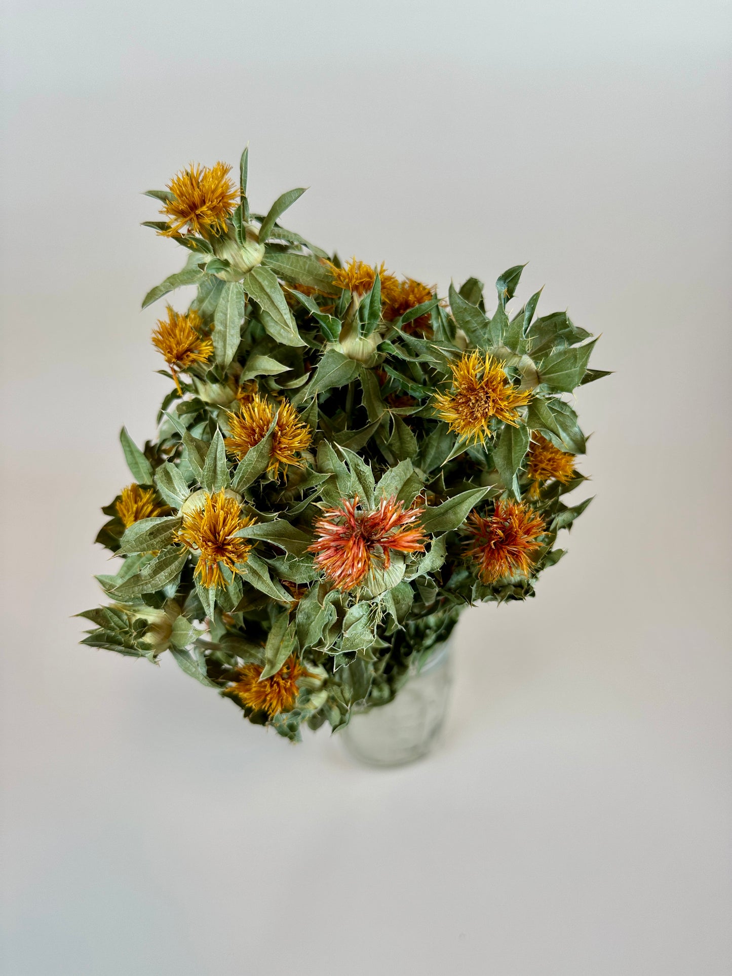 Dried Safflower - Autumn