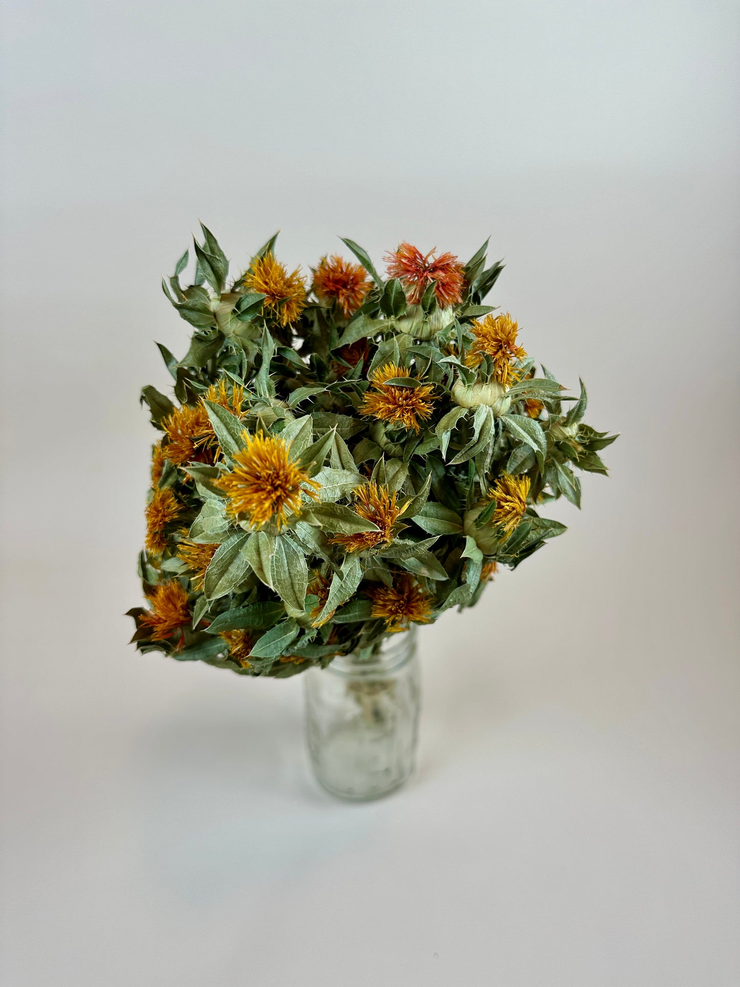 Dried Safflower - Autumn