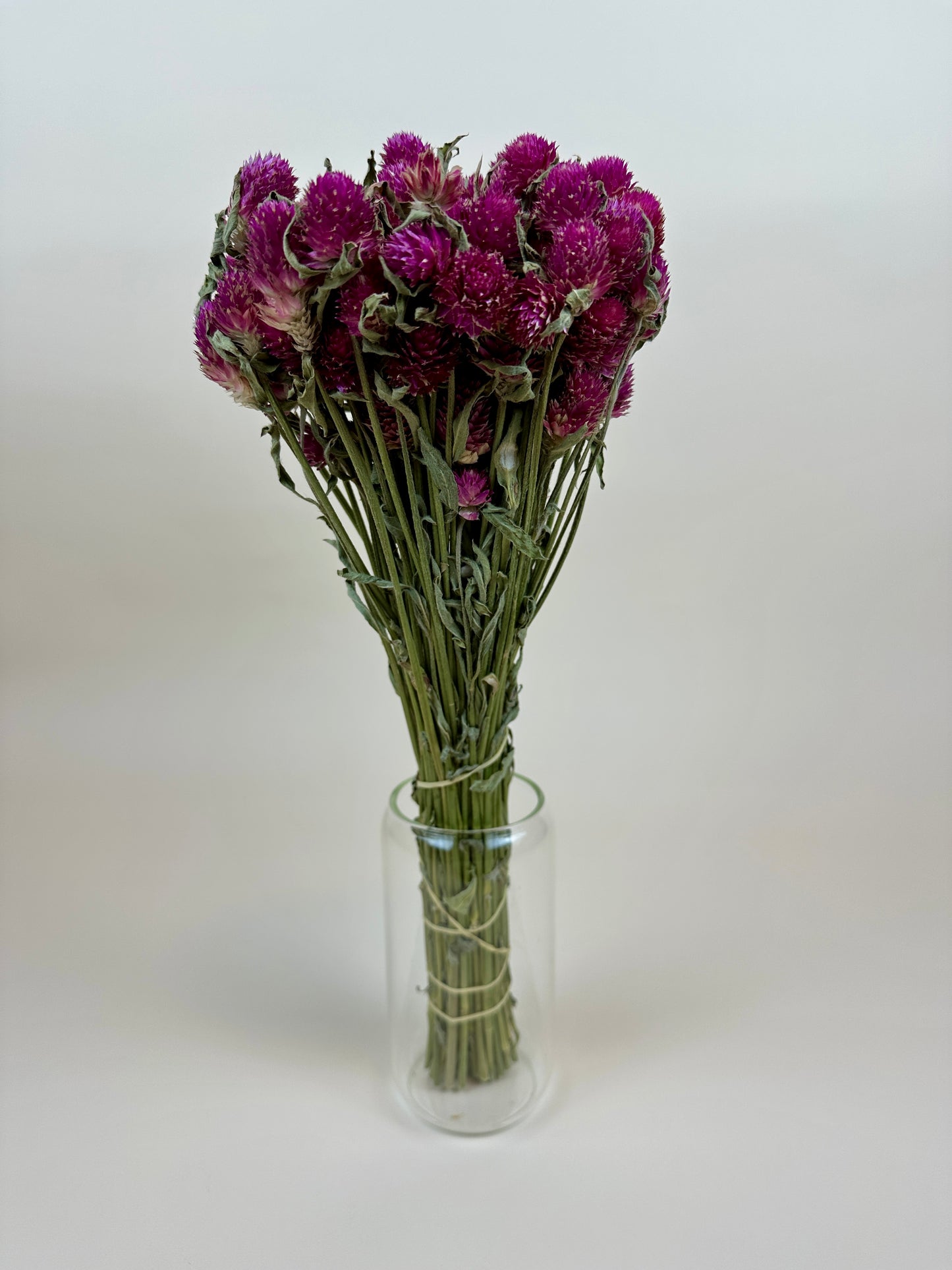 Dried Globe Amaranth (Hot Pink)