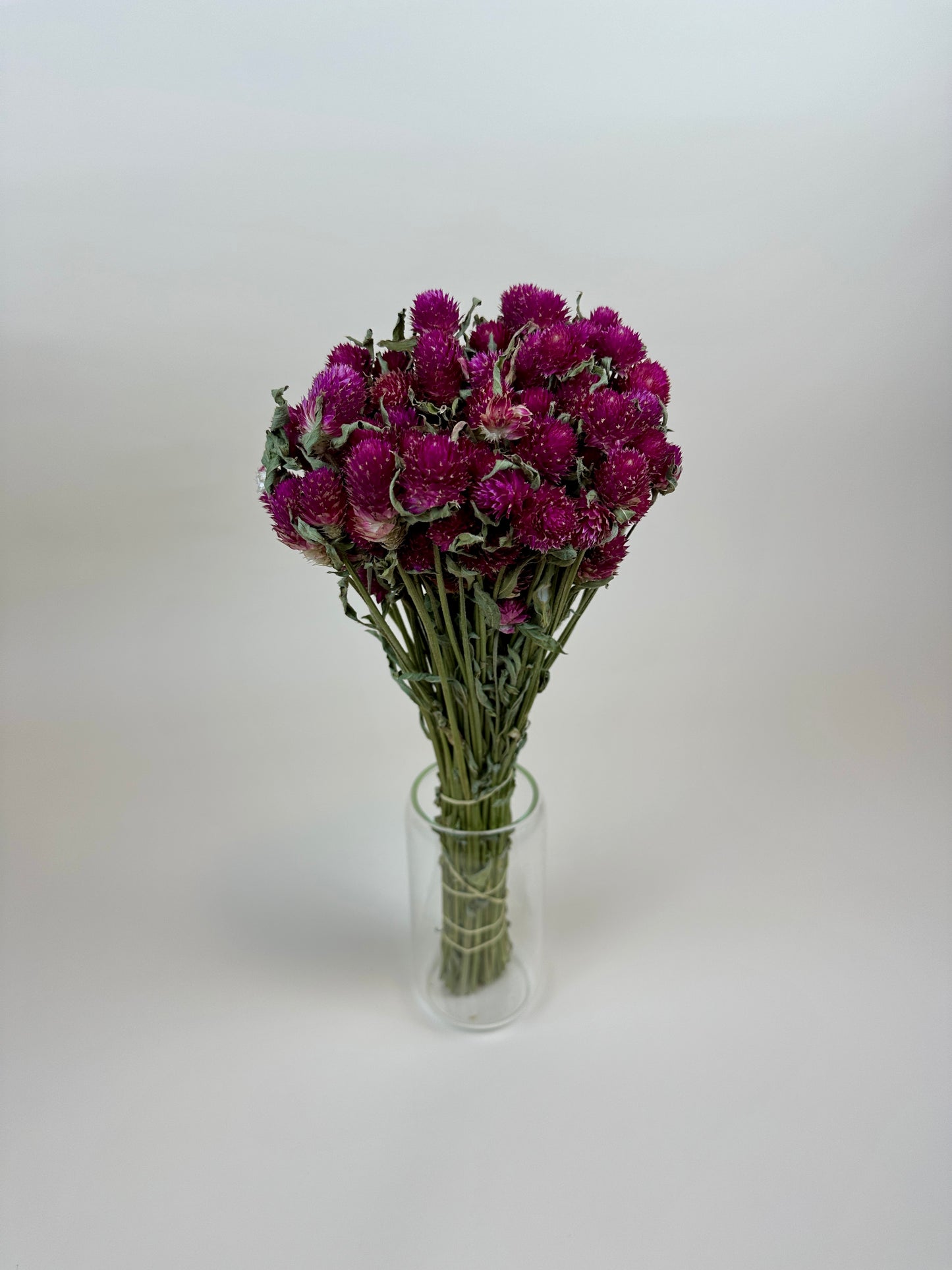 Dried Globe Amaranth (Hot Pink)