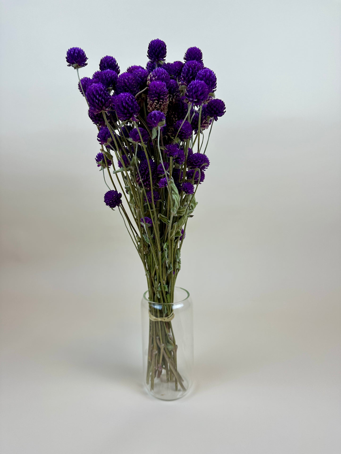 Dried Globe Amaranth (Purple)