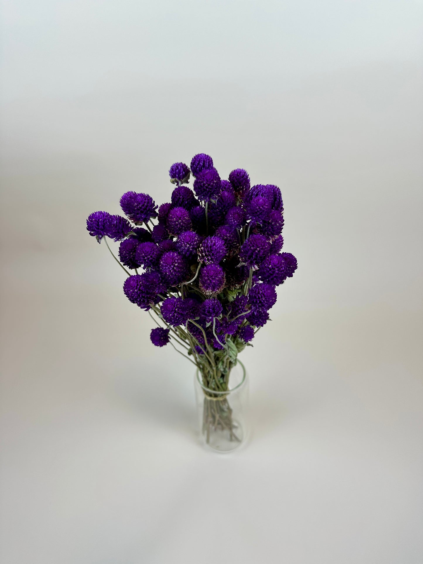 Dried Globe Amaranth (Purple)