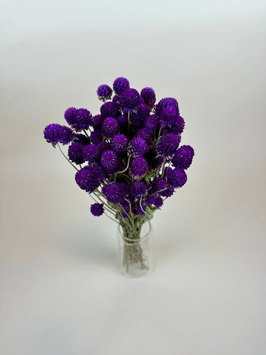 Dried Globe Amaranth (Purple)