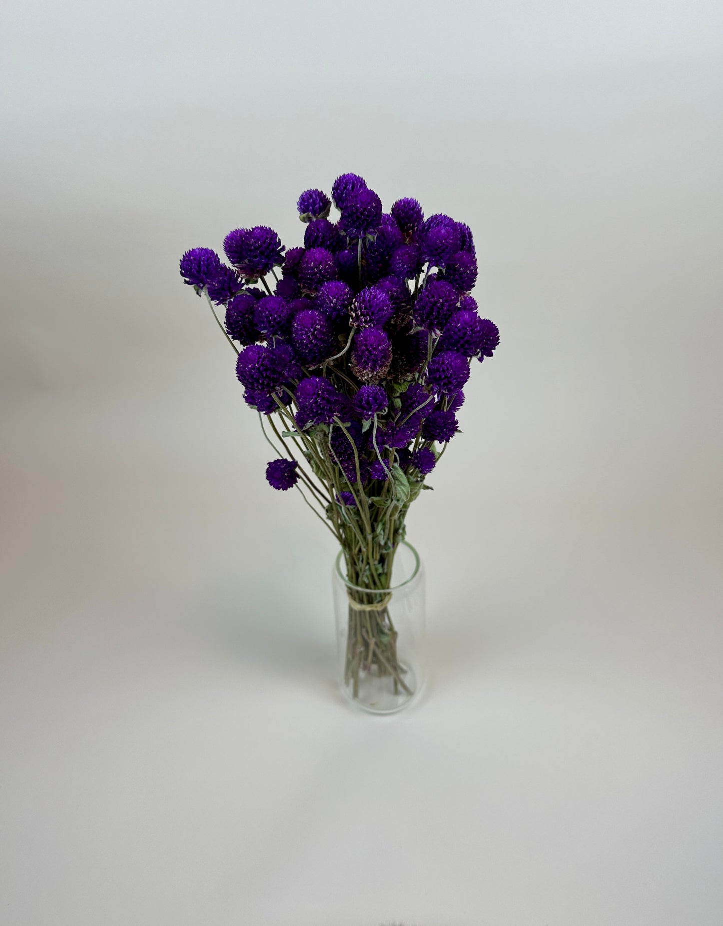 Dried Globe Amaranth (Purple)