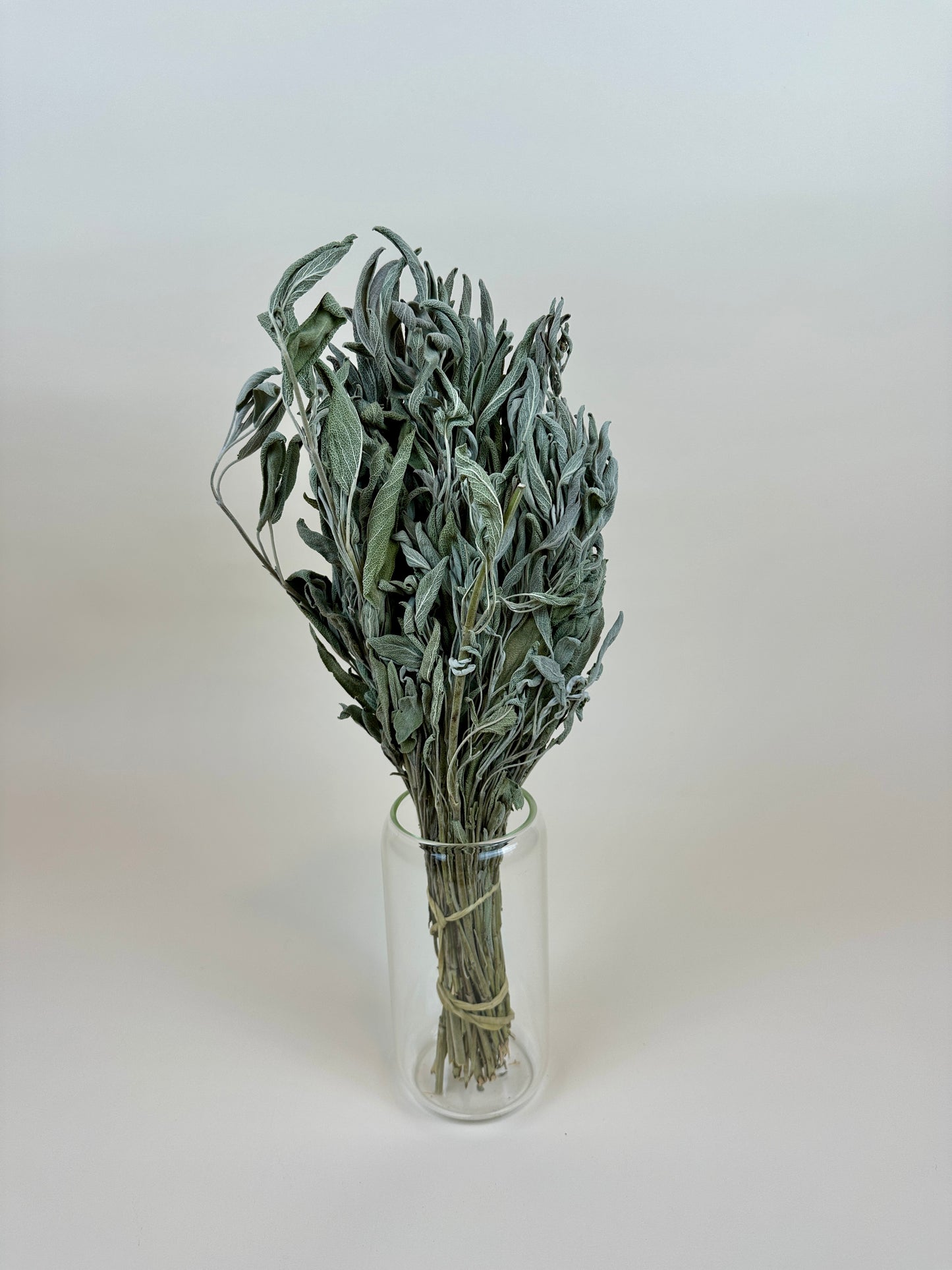 Dried Sage