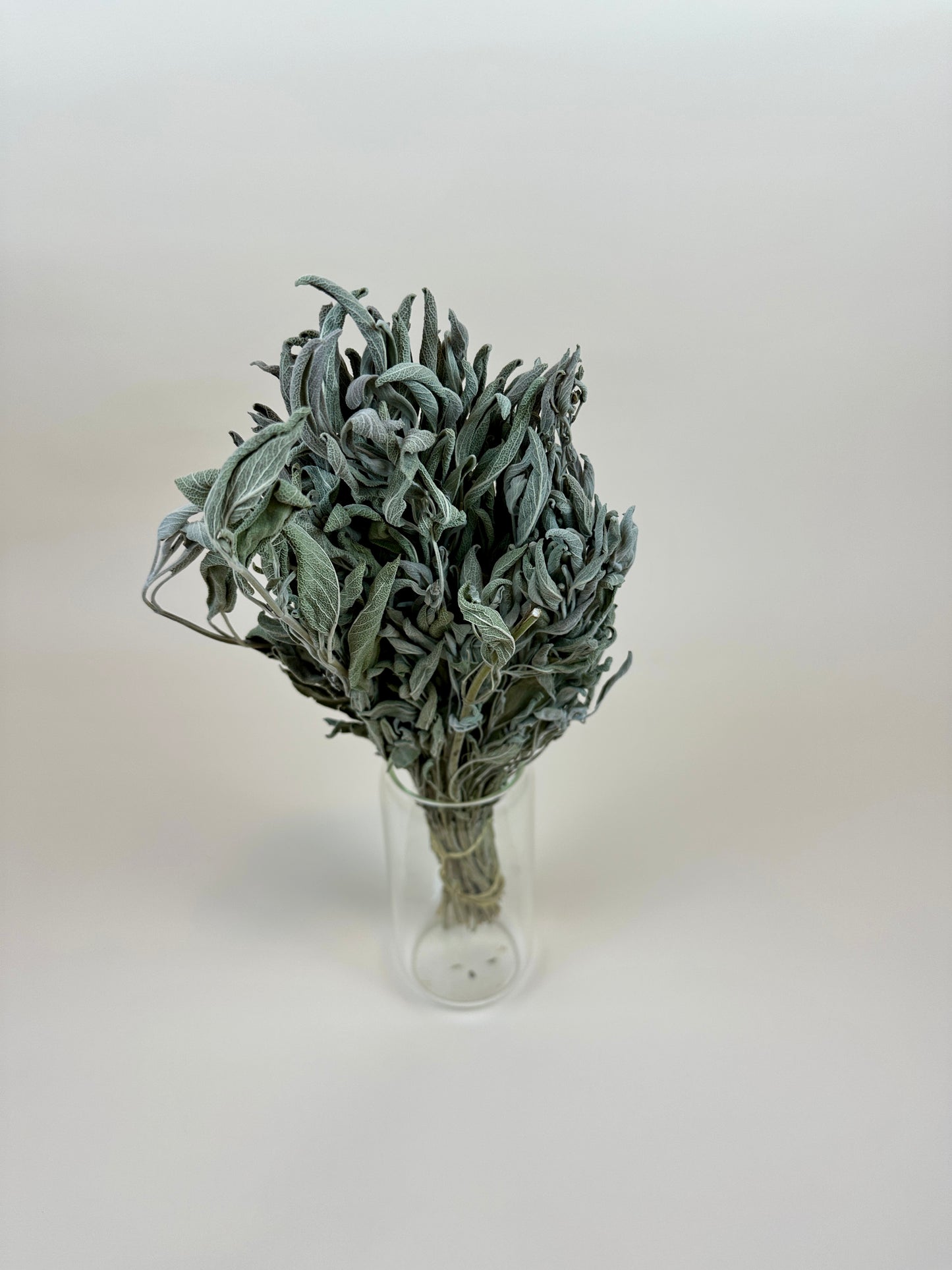 Dried Sage