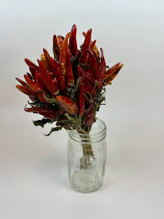 Dried Chili Peppers