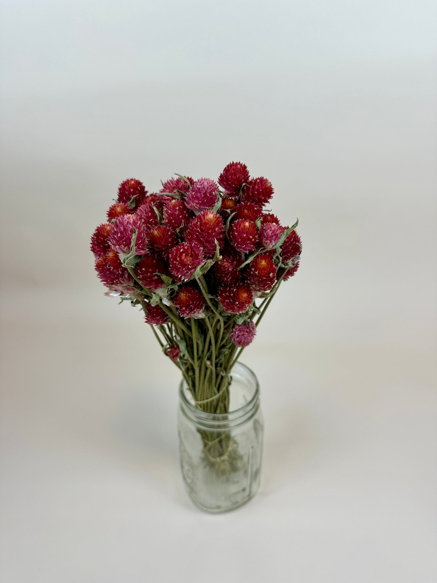 Dried Globe Amaranth (Red)