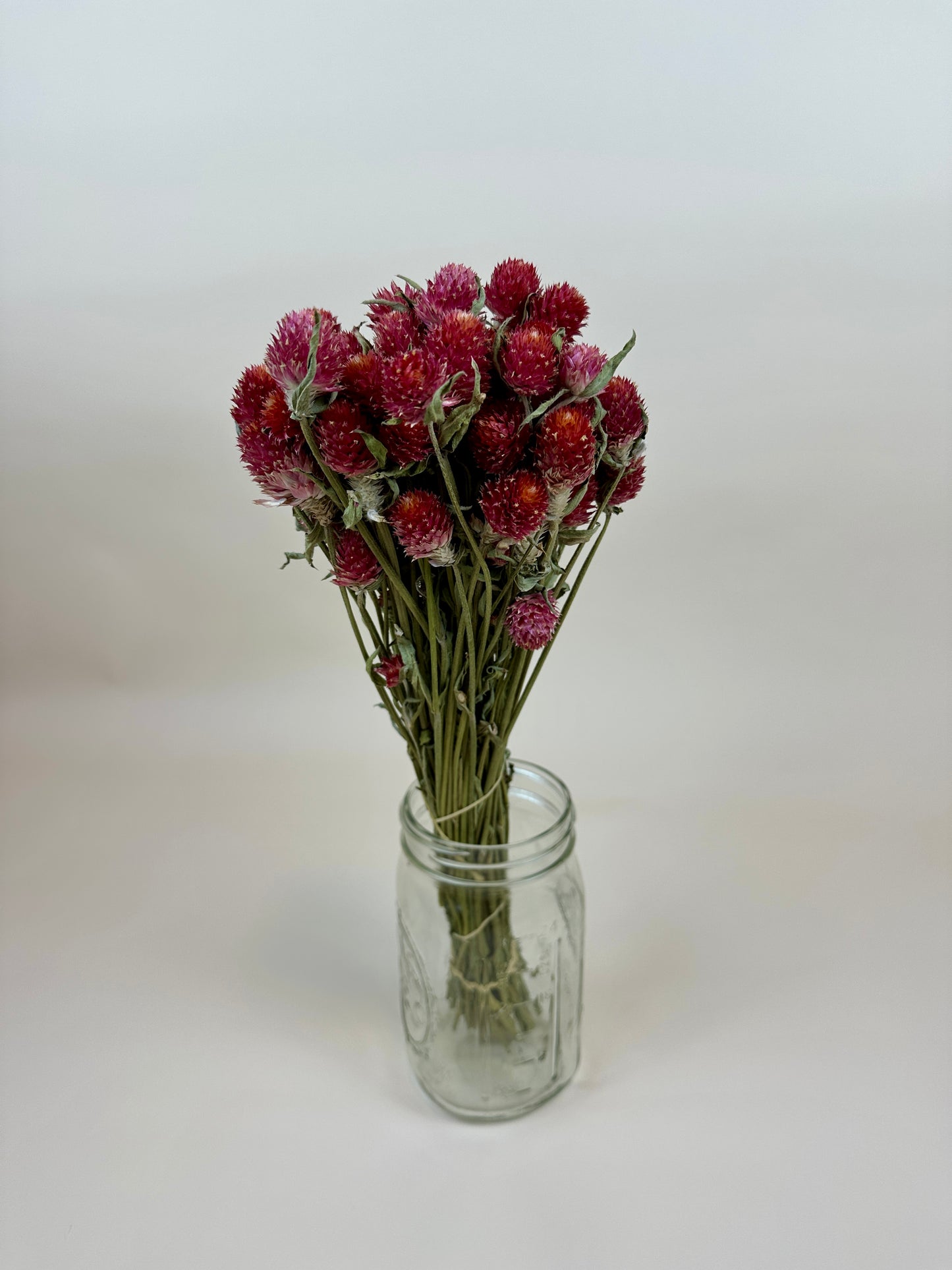 Dried Globe Amaranth (Red)