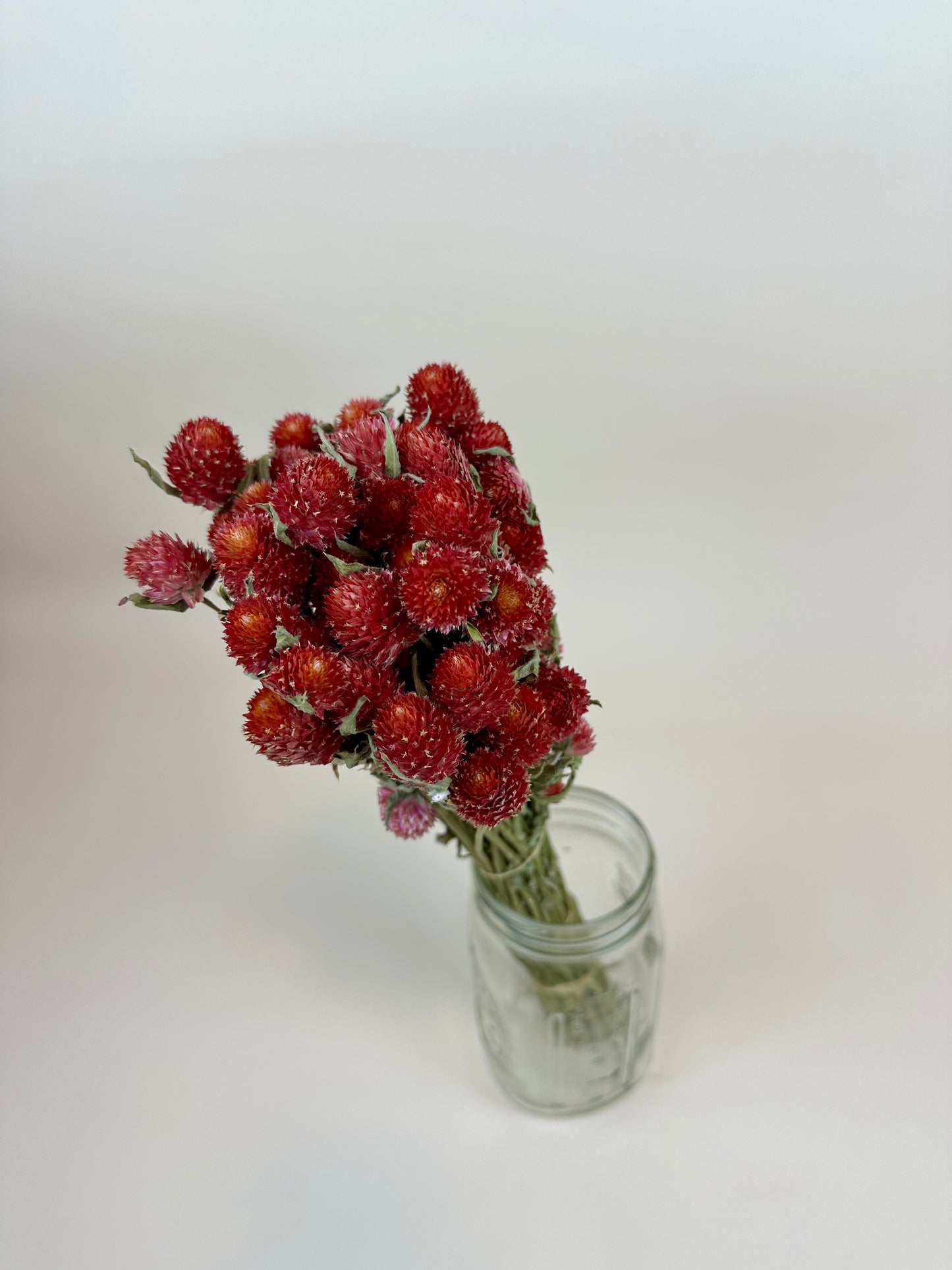 Dried Globe Amaranth (Red)