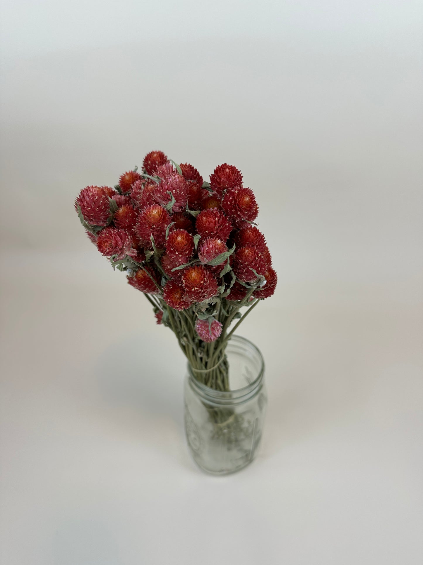 Dried Globe Amaranth (Red)