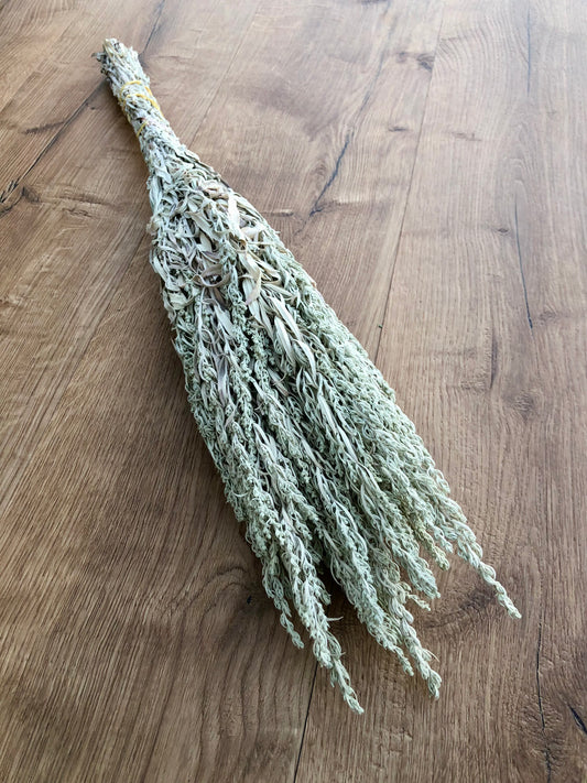 Dried Silver King Artemesia