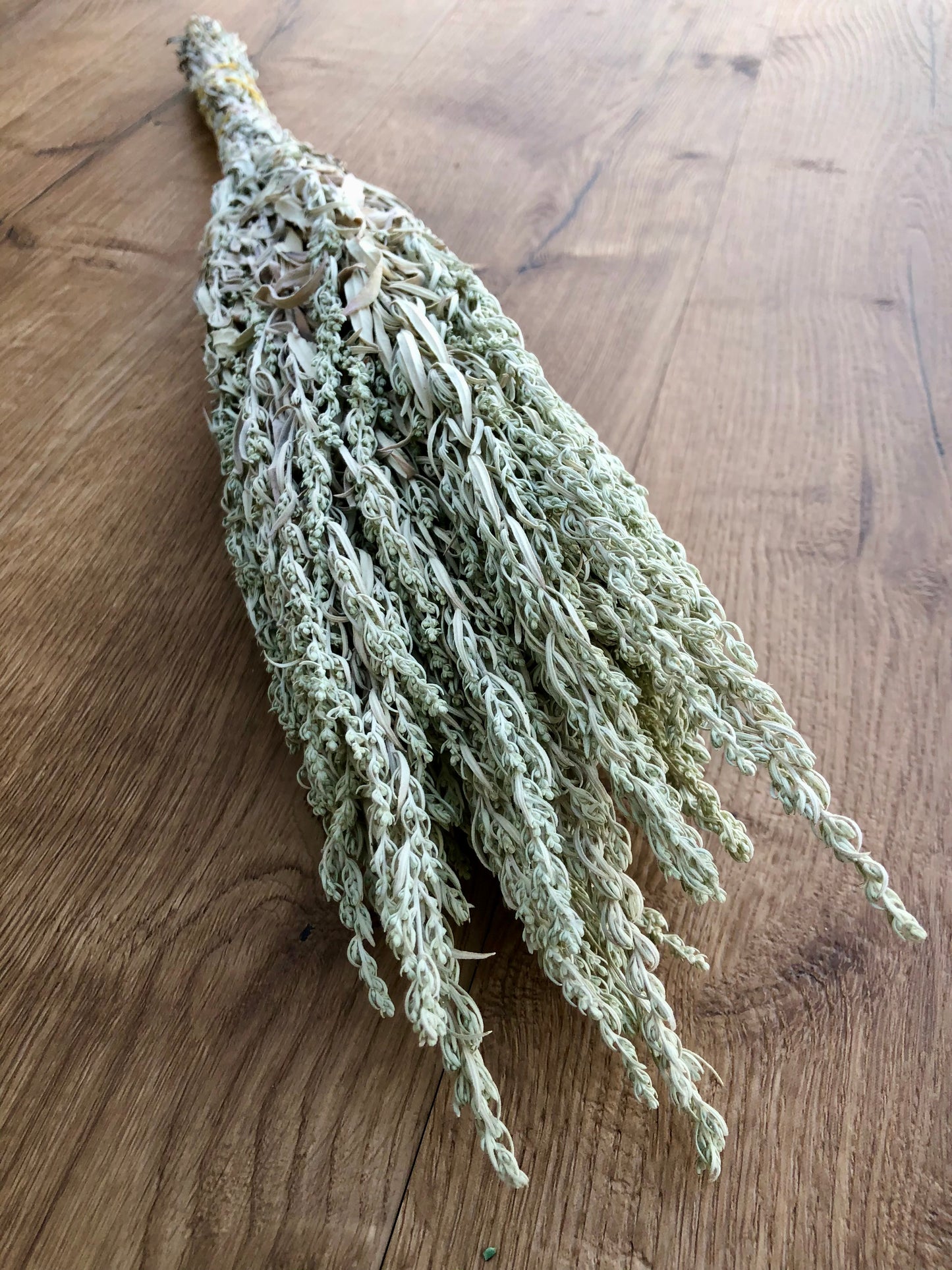 Dried Silver King Artemesia