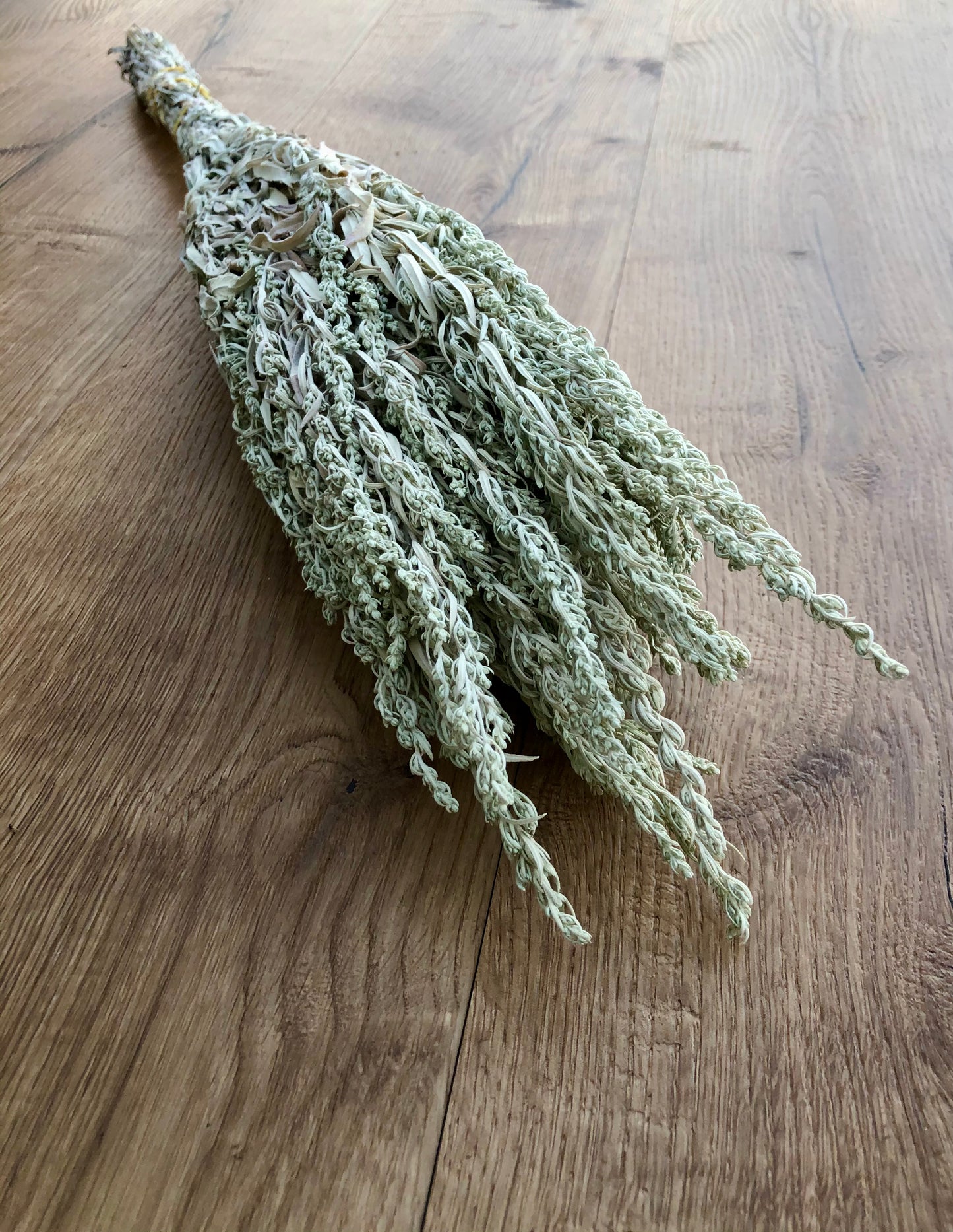 Dried Silver King Artemesia