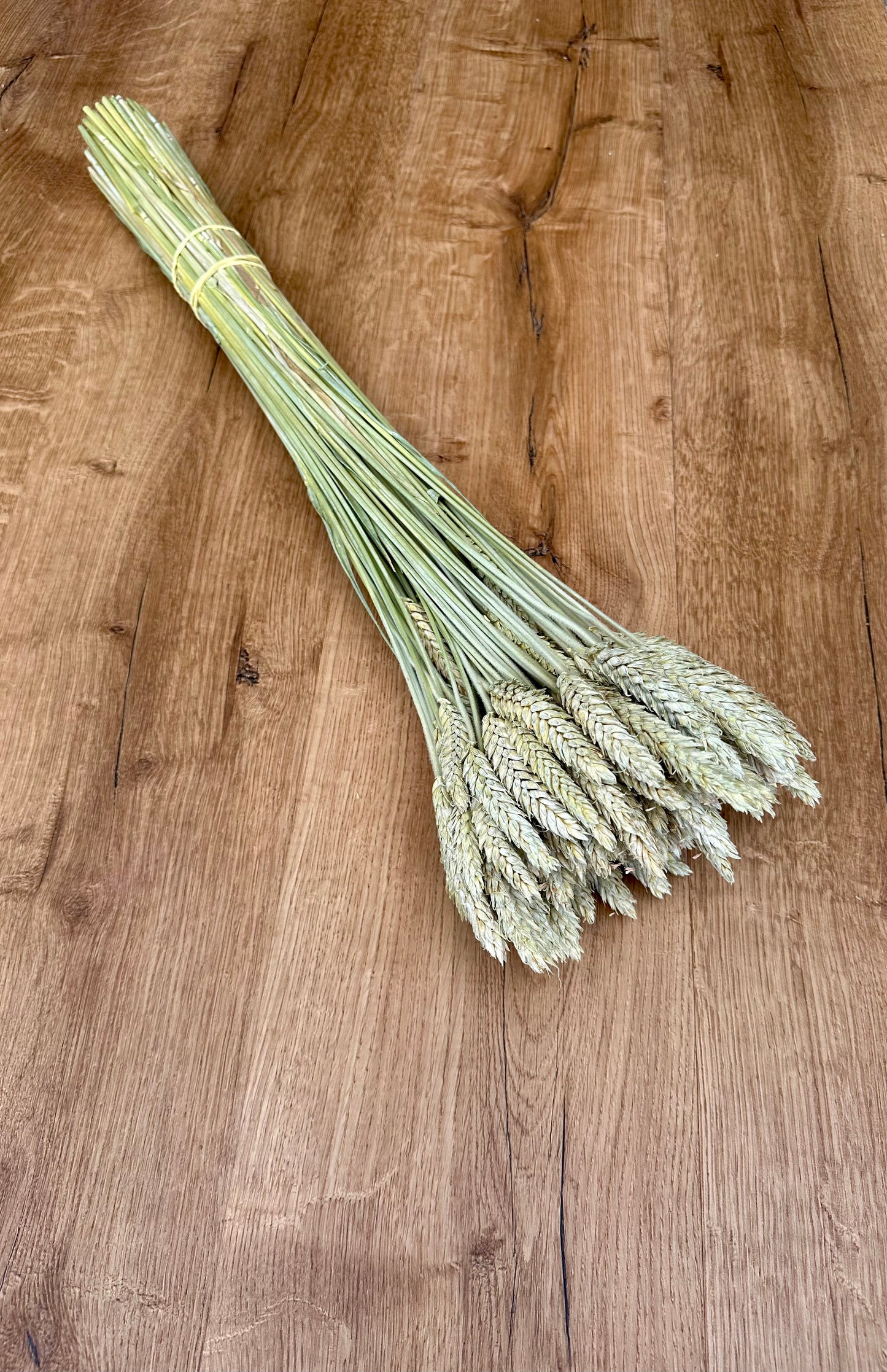 Dried Triticale (Beardless)