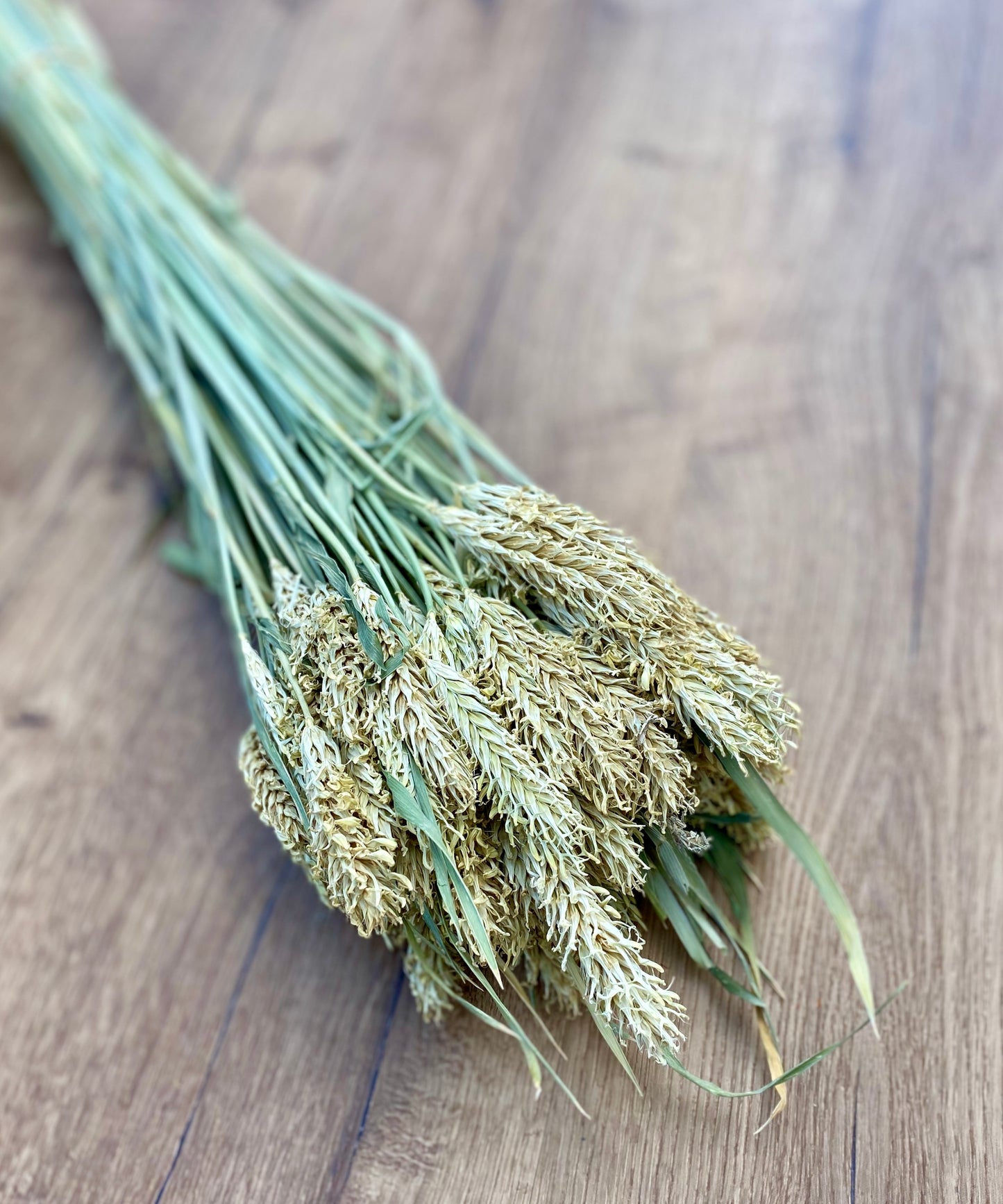 Dried Hooked Barley