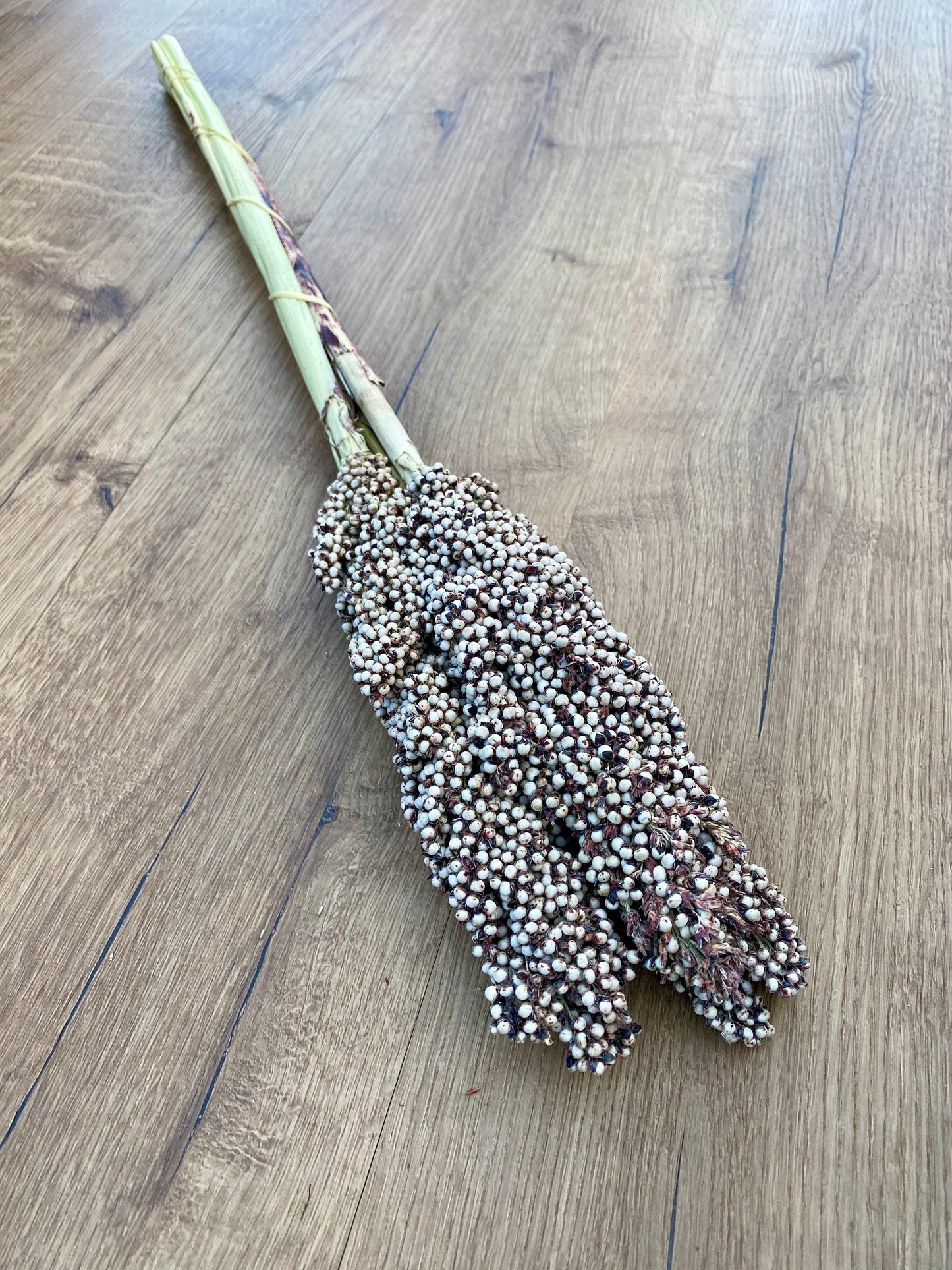 Dried Pinto Berries