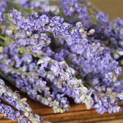 Dried Larkspur (Lilac)