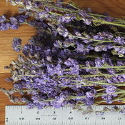 Dried Larkspur (Lilac)